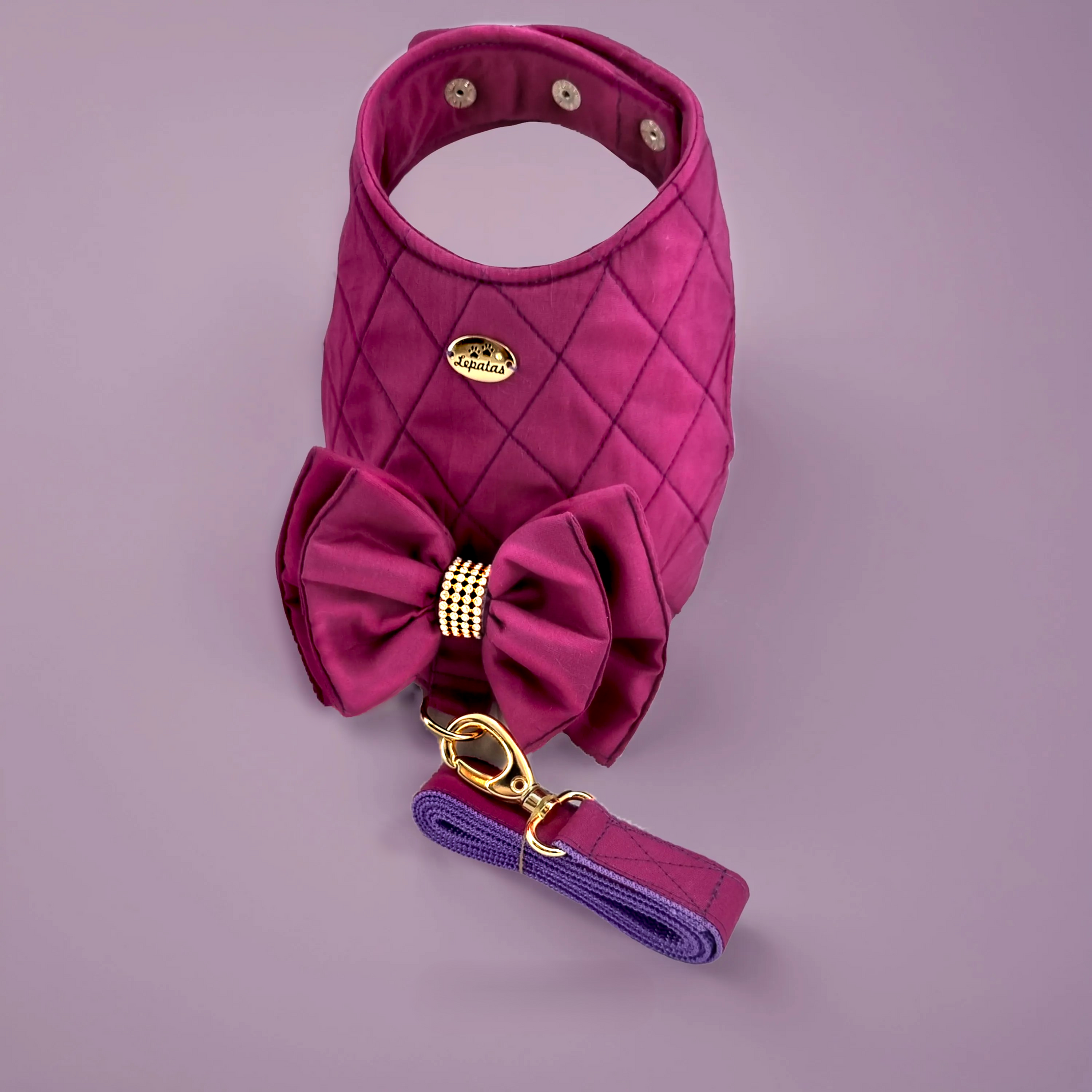 Peitoral Roxo com guia de passeio