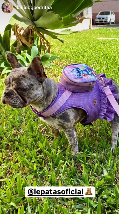Miniatura: Peitoral babadinho mochila Stitch com guia