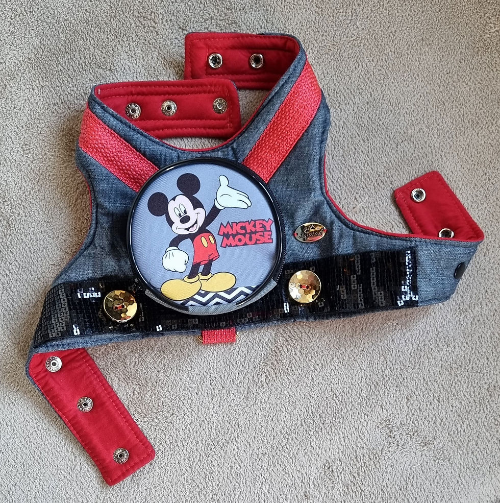 Miniatura: Peitoral com mochila e guia Mickey