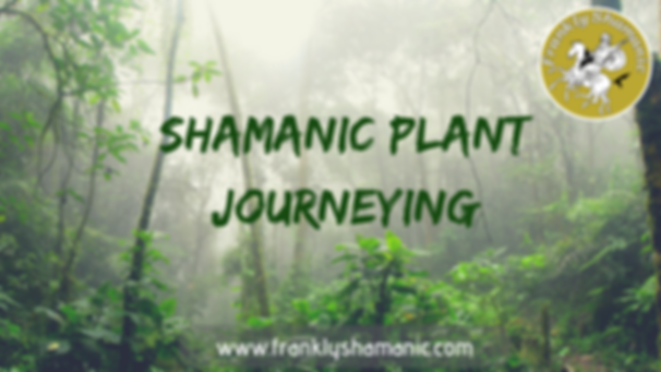 Shamanic Plant Journeying Shamanism Melbourne