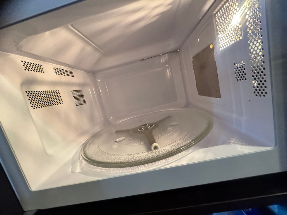 after clean of microwave- sparkle llc