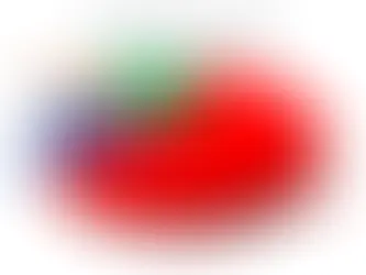 Vart går pengarna i ett städbolag?