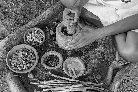 Ayurveda Consultation Traitement par les plantes.jpeg.jpeg
