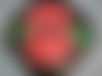 🌺 Remembrance Day at Nursery