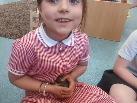 From Ideas to Identities: Chicks Named by the Children