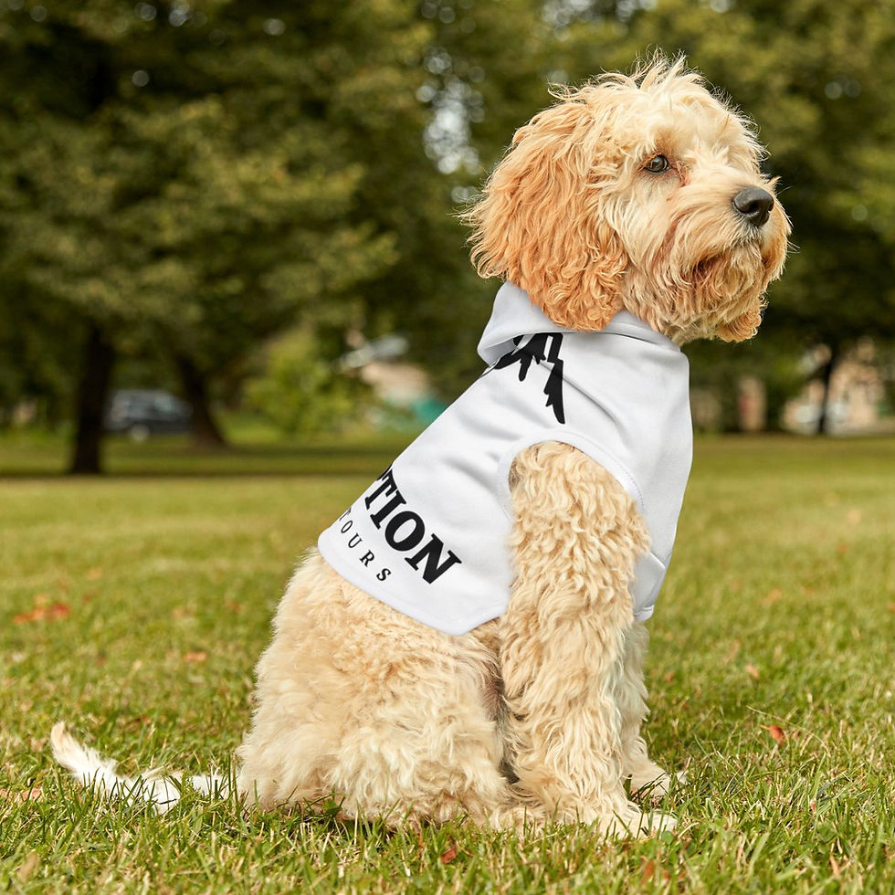 Thumbnail: Pet Hoodie