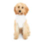 Thumbnail: "Sled Dog at Heart" Pet Hoodie