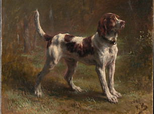 main-image-1.jpg