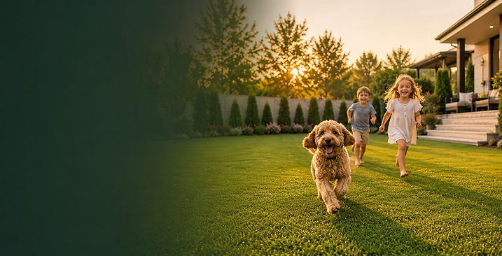 Children and dog running on turf backyard at sunset