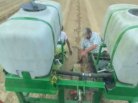 Prepping the Land, Growing the Mission at The Piney Woods School Farm