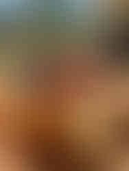 Saint Sebastian Cheesecake