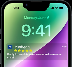 Screenshot 2024-06-14 at 10.17.26 AM.png