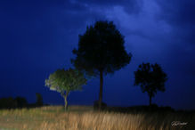 ORAGE 9.jpg