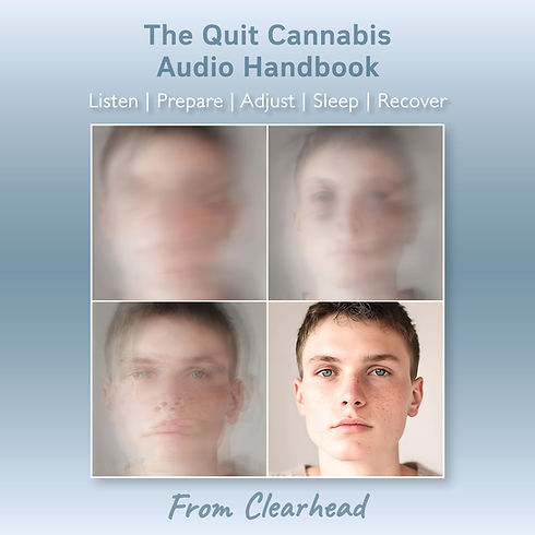 Audio Cover.jpg