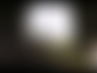 Six Verbs Movement festival at Centrum Kultury, Lublin - How's The Beast?