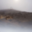 After the Desert Goat