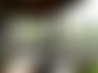 how to clean screens on a screened in porch