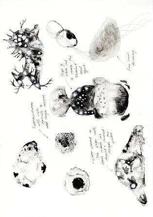 Scan 17.jpeg