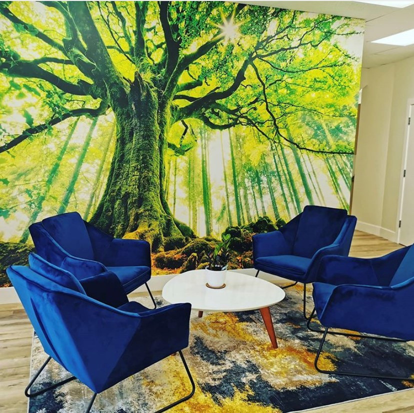 Picture of 5 Sustainable Interior Design Trends You Need to Know About