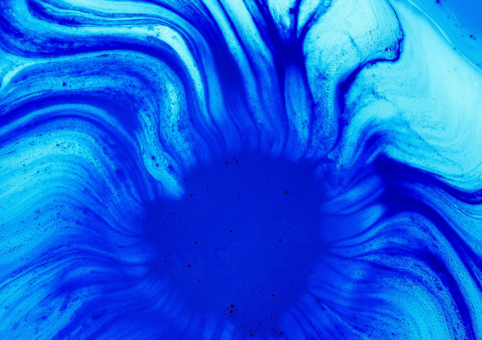 Scientific slide with blue dye