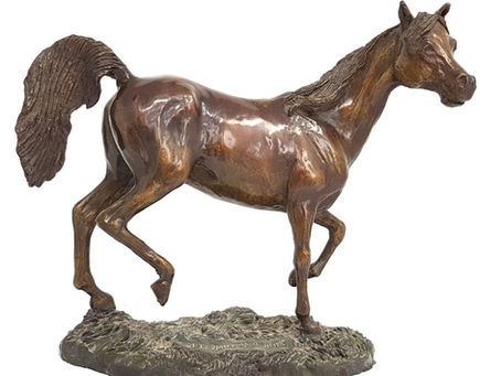 Our new Arabian Stallion now in Cold Cast Bronze