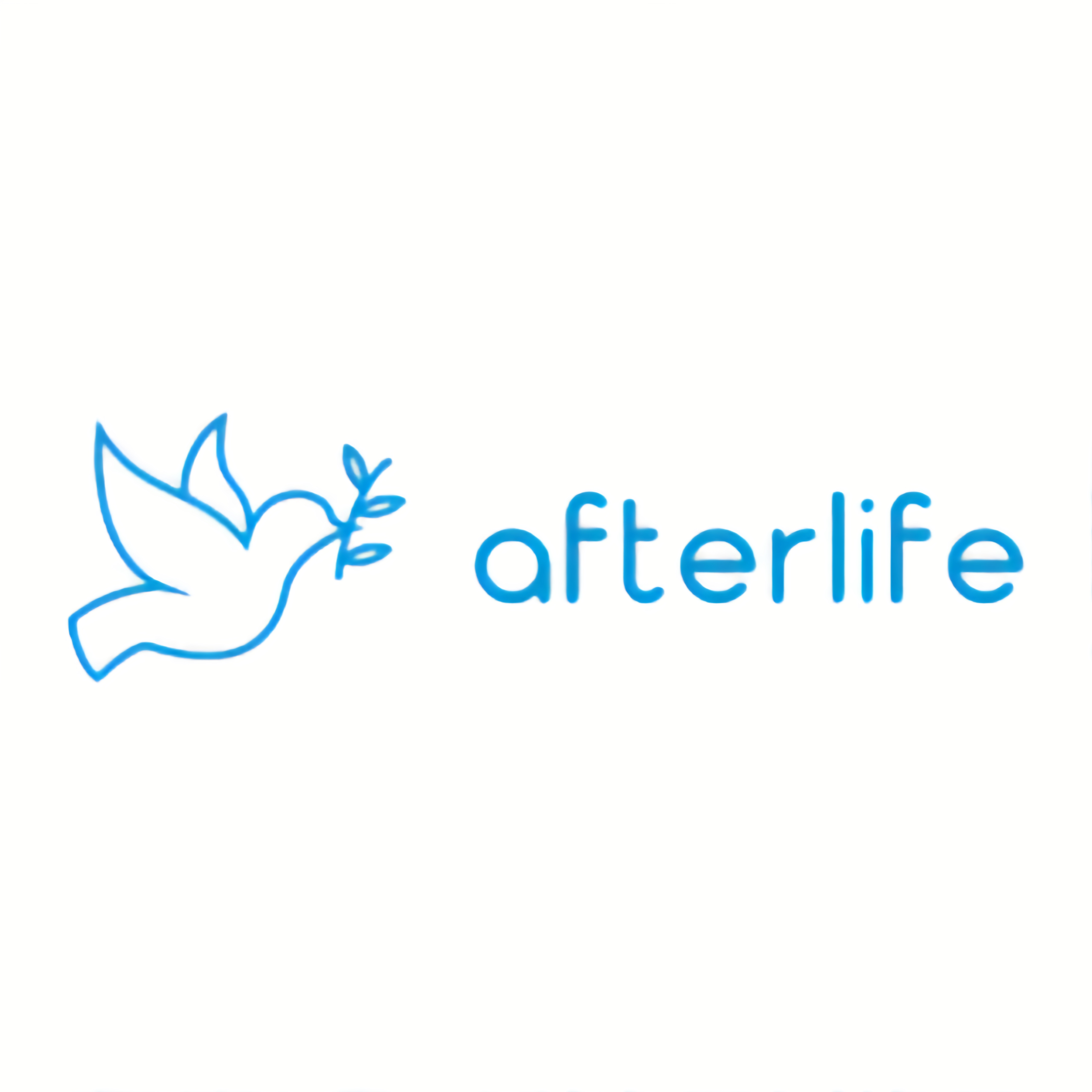Afterlife