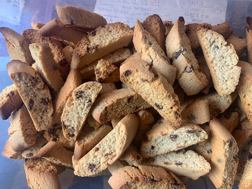 Chocolate Chip Traditional Cantuccini Italian Biscotti Juicy Josie
