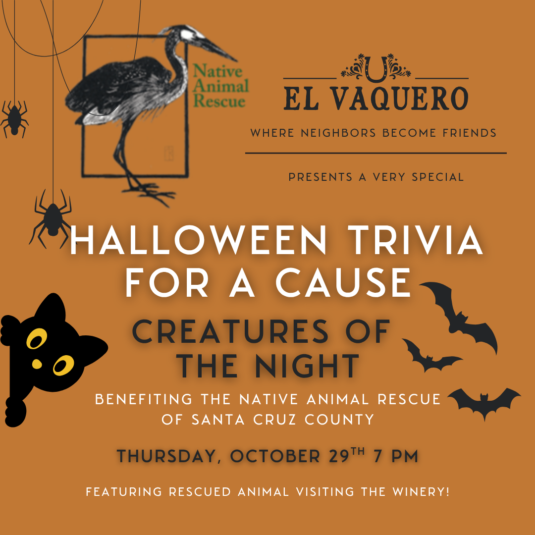 Trivia For A Cause Night