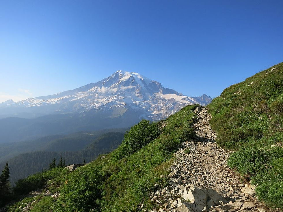 Mount Rainier National Park