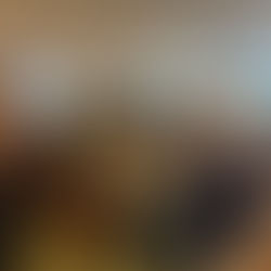 Offisielt åpnet - Ilka Skytehall