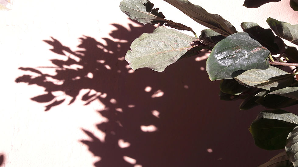 20191014_131236.jpg