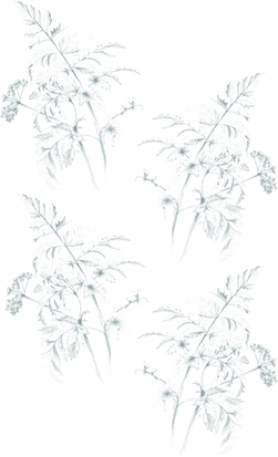 background.png