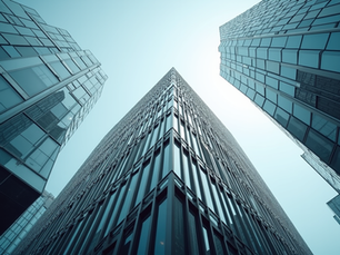 Discover the Expertise of Nilhan Global Advisors - Global Business Consulting Experts