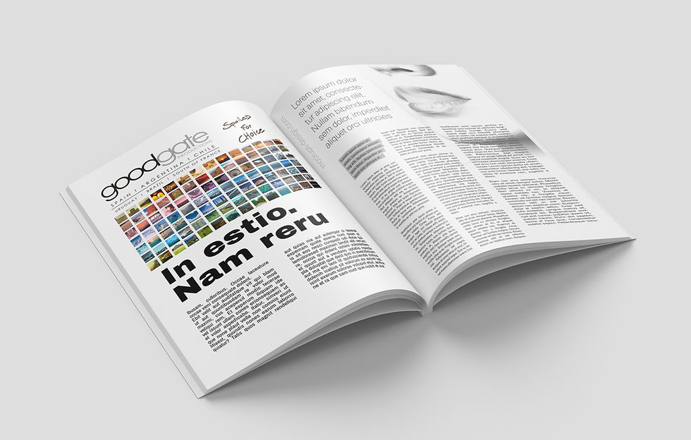 Revista.jpg