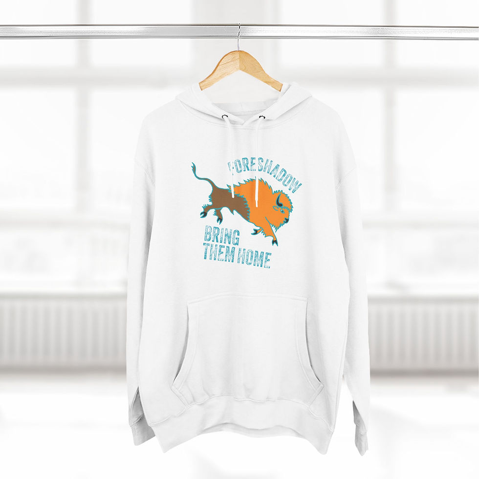 Thumbnail: "Bring Them Home" Three-Panel Fleece Hoodie