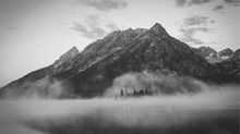 Strength in the Valley