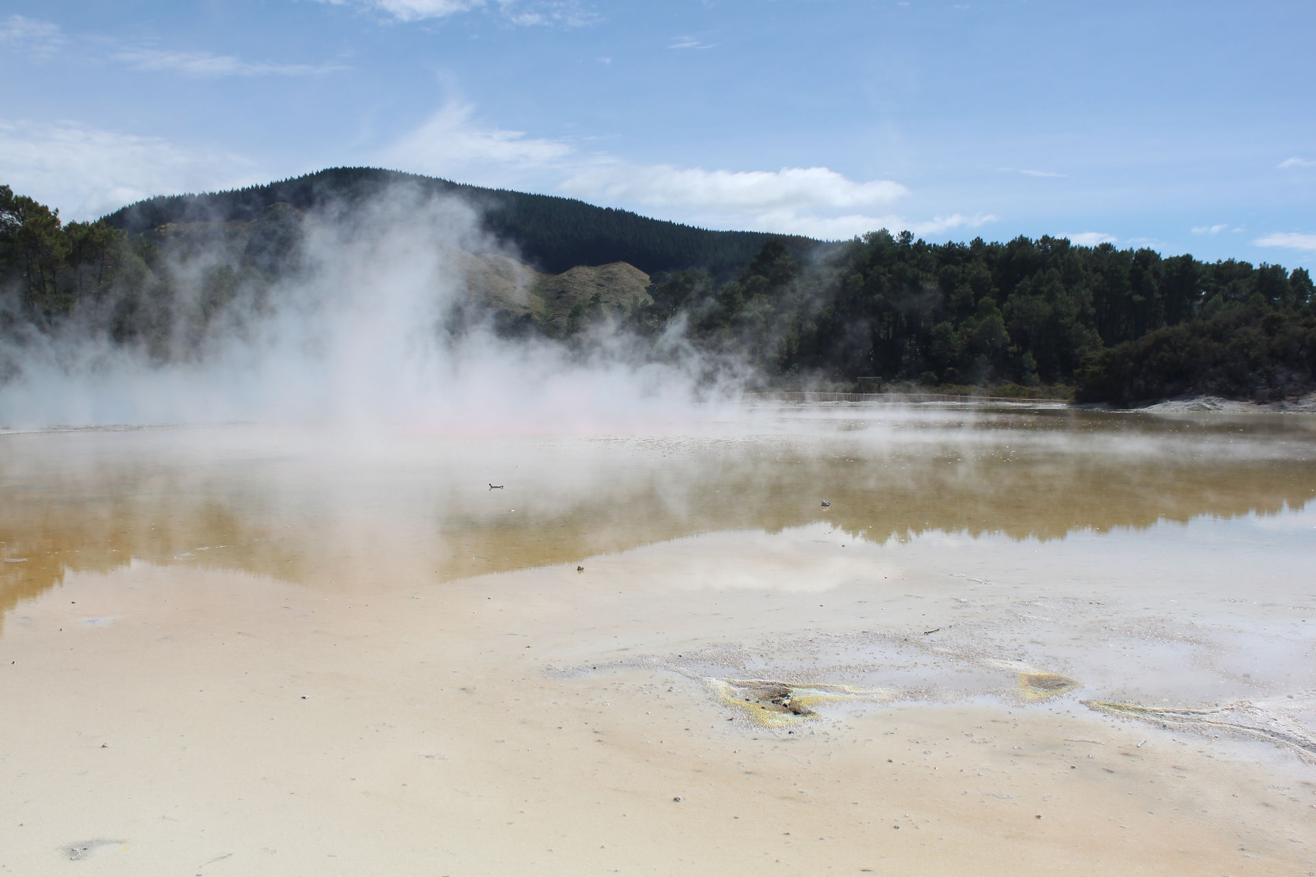 1149 - Waiotapu Thermal Park