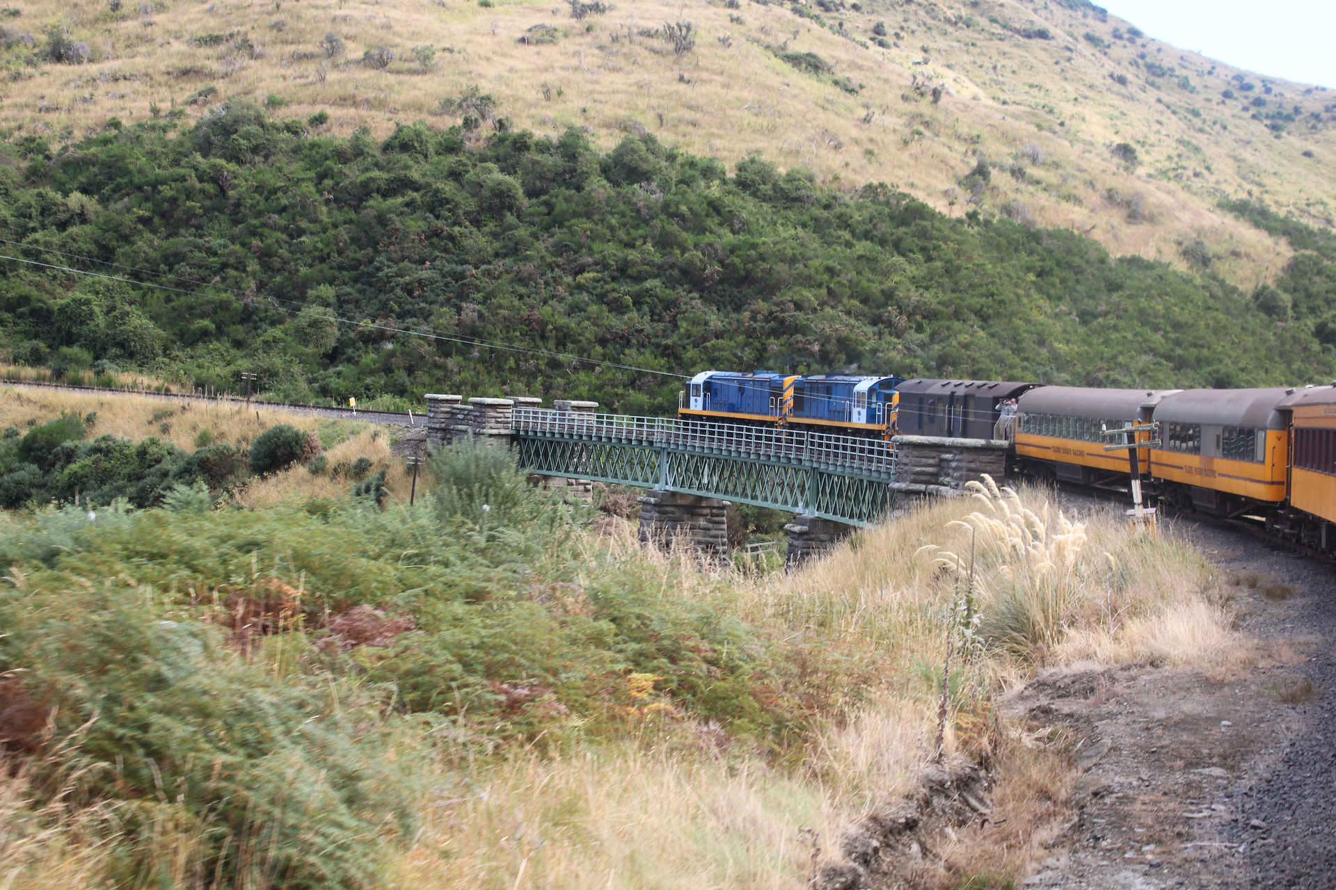 273 - Dunedin Train