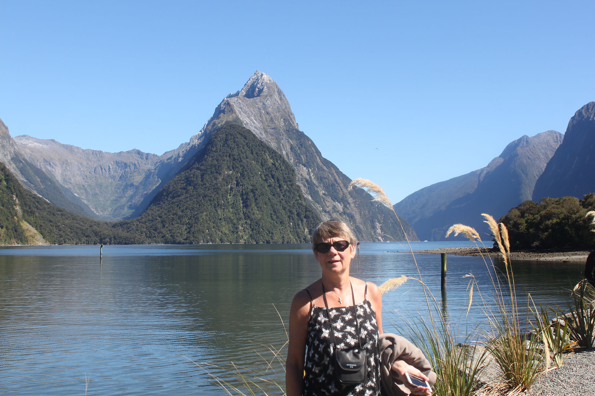 335 - Milford Sound