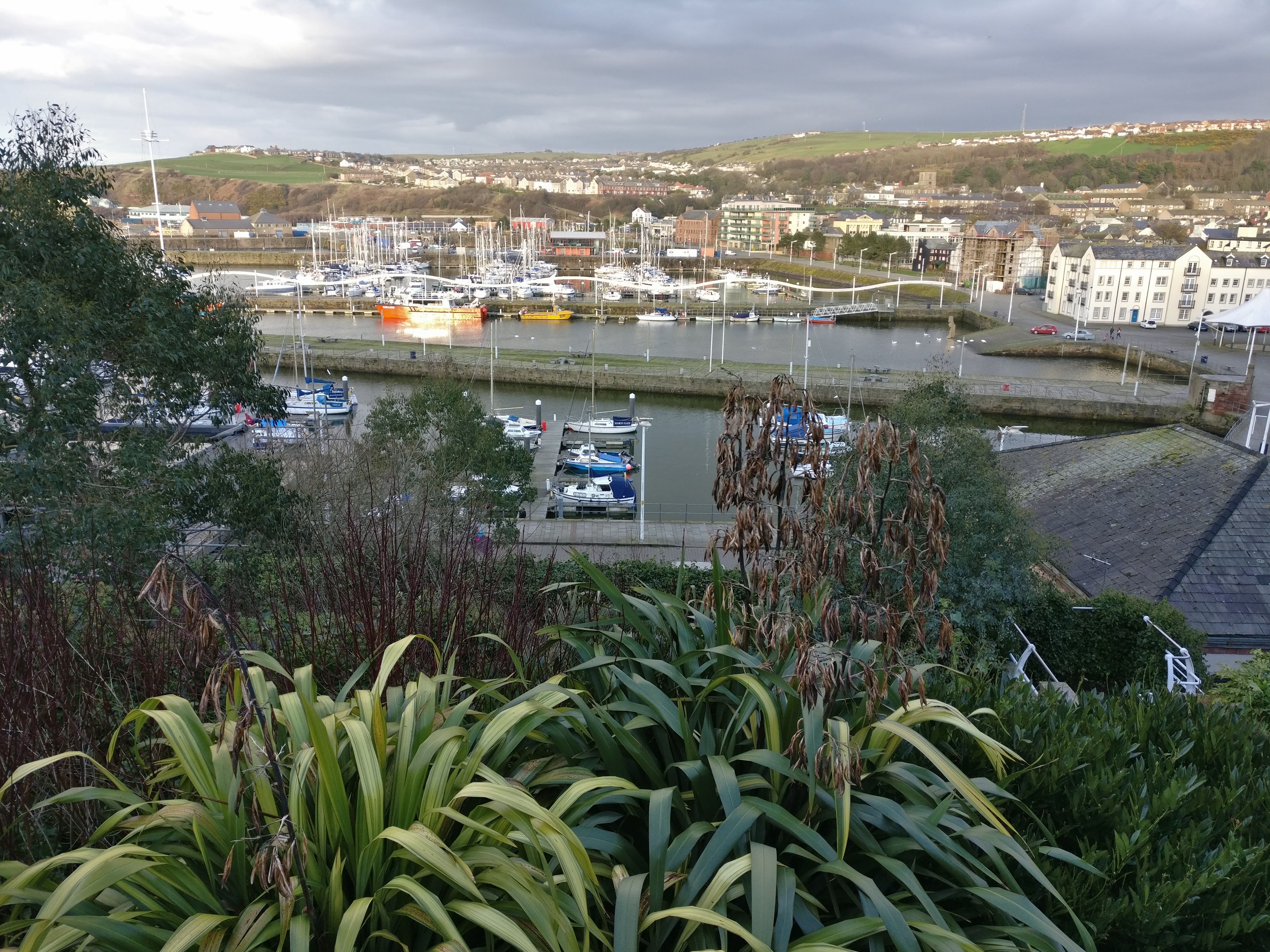 A view over Whitehaven