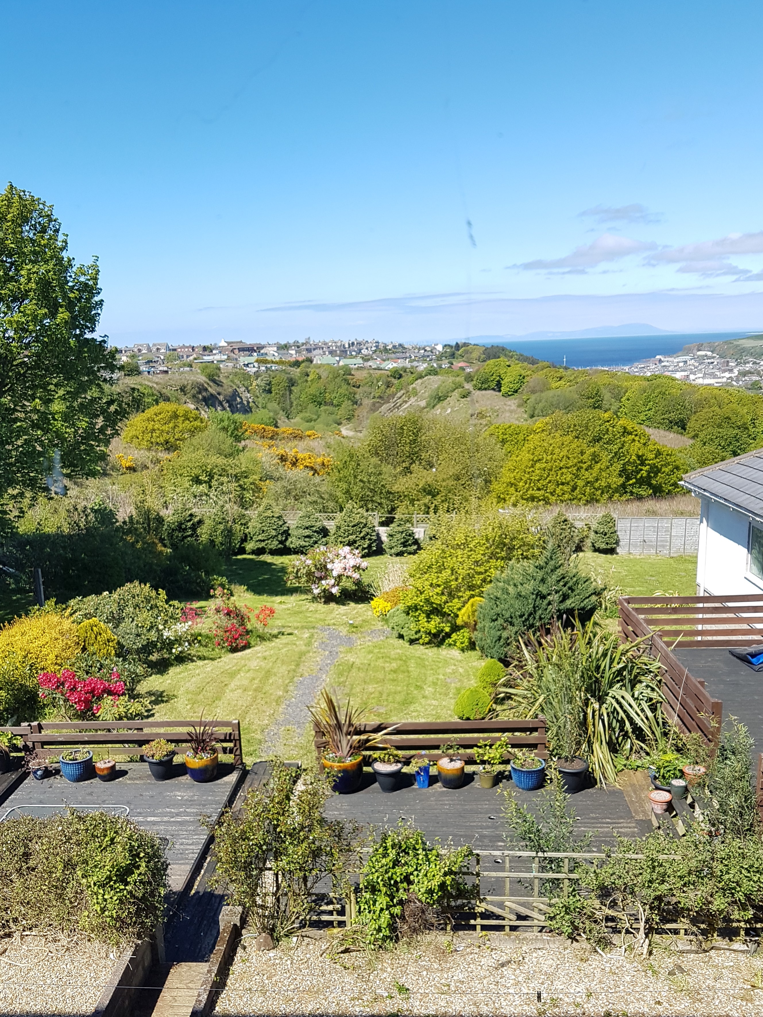 The garden view.