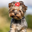 AdobeStock_296396213.jpeg