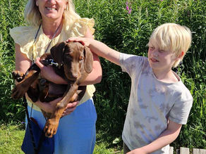 C-Kullet - Diamond Paw Ser Ajana - Neztor V NobeLine