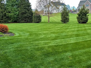 Are Lawn Fertilizer Services Worth It
