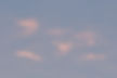 DSCF8291.jpg