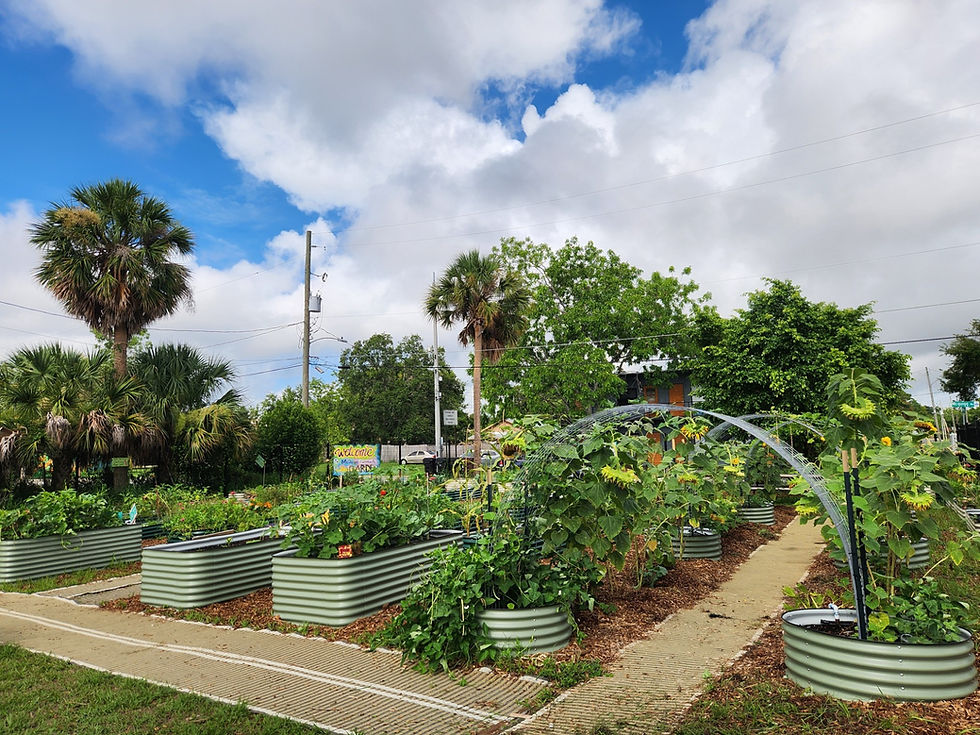 community-garden-planters.jpg