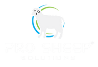 Pro Sheep Swart.png