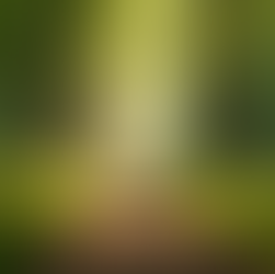 From Emotional Fatigue to Professional Growth: Techniques for Building Resilience and Self-Awareness