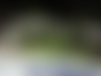 Where light is found...