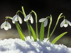 Leaning towards the light...